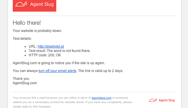 Example of email notification - AgentSlug.com